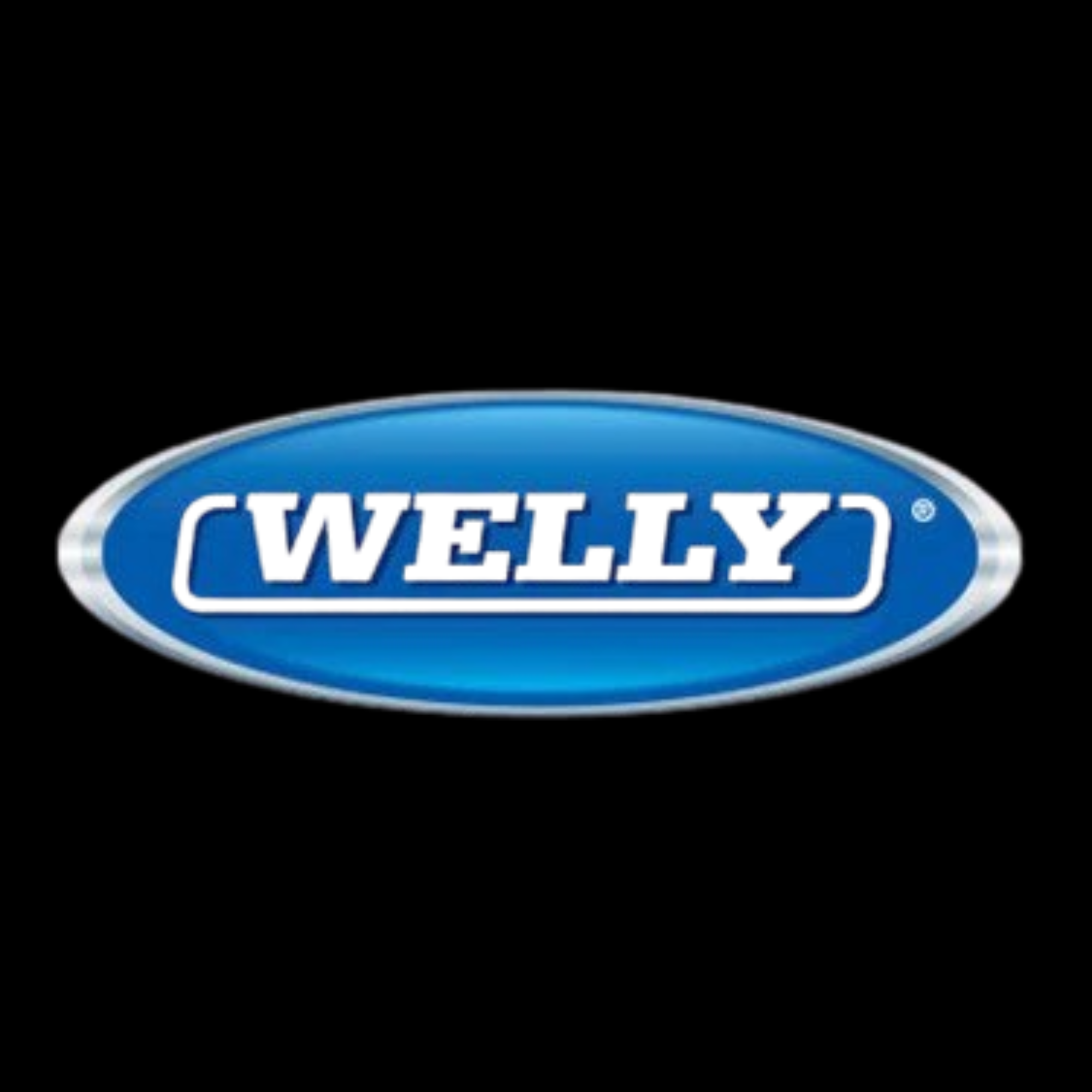 WELLY